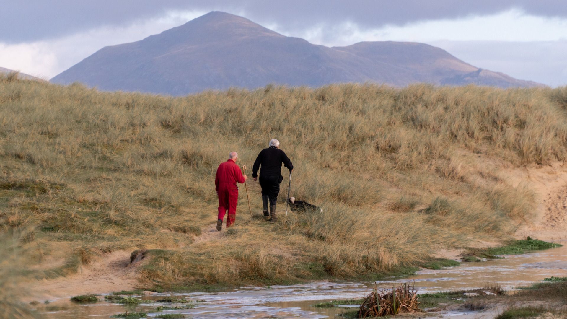 Two farmers out walking