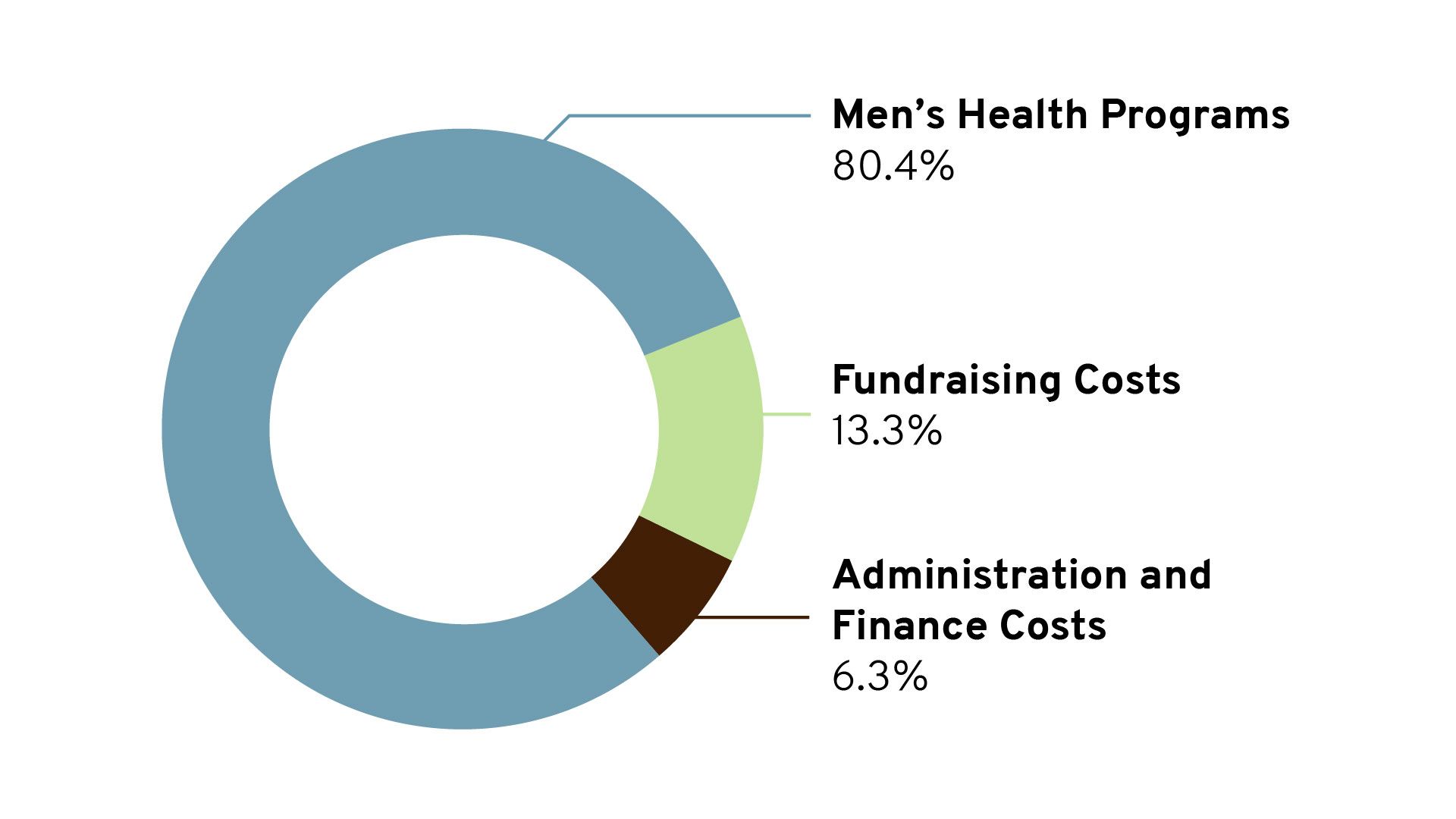 Pie chart showing Movember's financial information