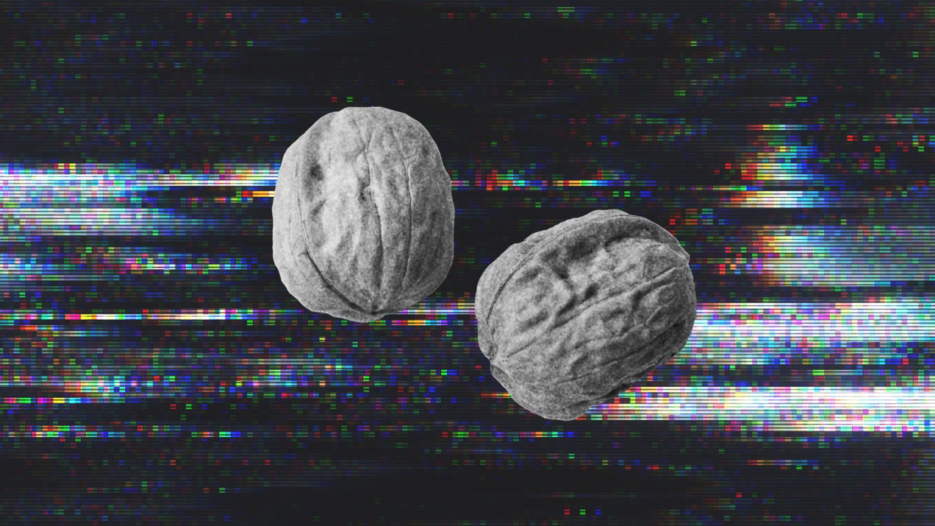 Two walnuts.